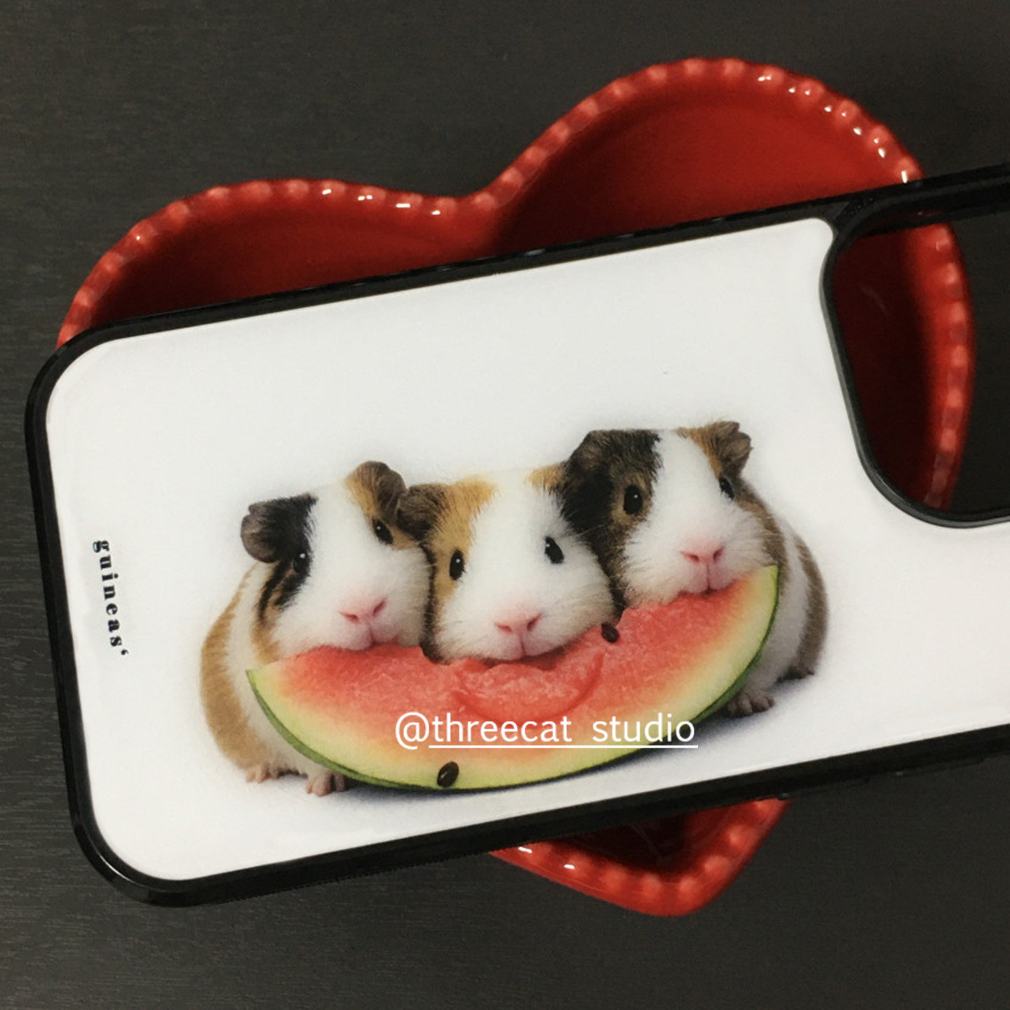 Koreaanse Ins Guinea Pig Eet W - Phone Cases Korean recensie en prijs